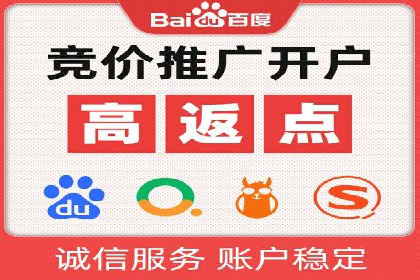 SEM搜索引擎优化成功案例，揭示优化策略与技巧